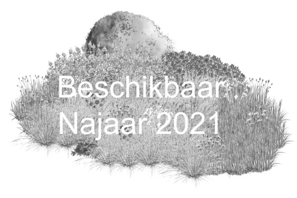 Beschikbaar najaar 2021